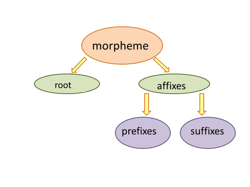 morpheme affixes root prefixes suffixes